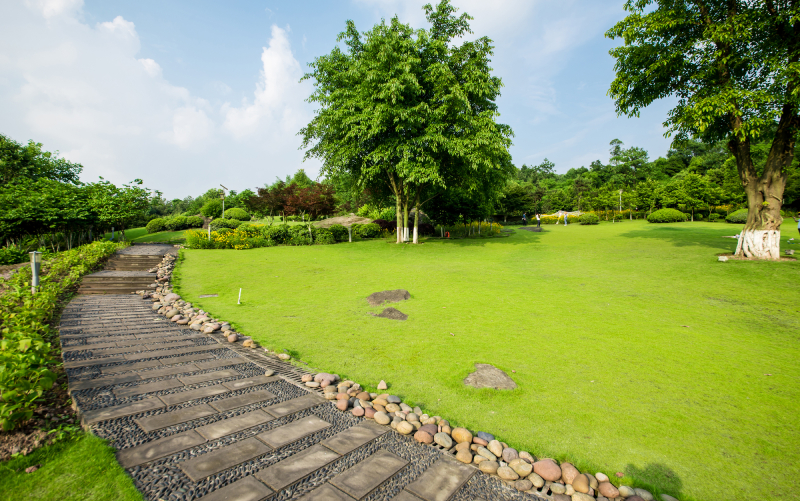 مزایا و معایب خرید ویلاهای شهرکی در شمال  و هرآنچه که باید بدانید!