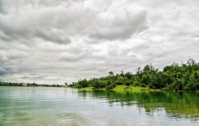 جنگل سیسنگان کجاست| عکس و آدرس