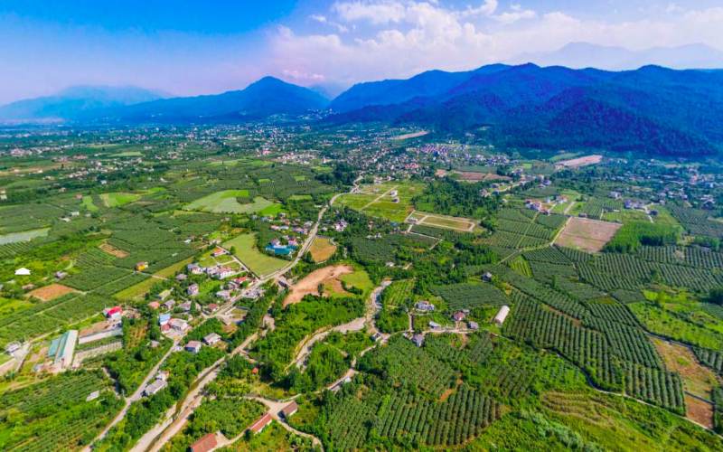 کاربری جنگل جلگه ای چیست| آیا این نوع کاربری قابل تغییر است؟