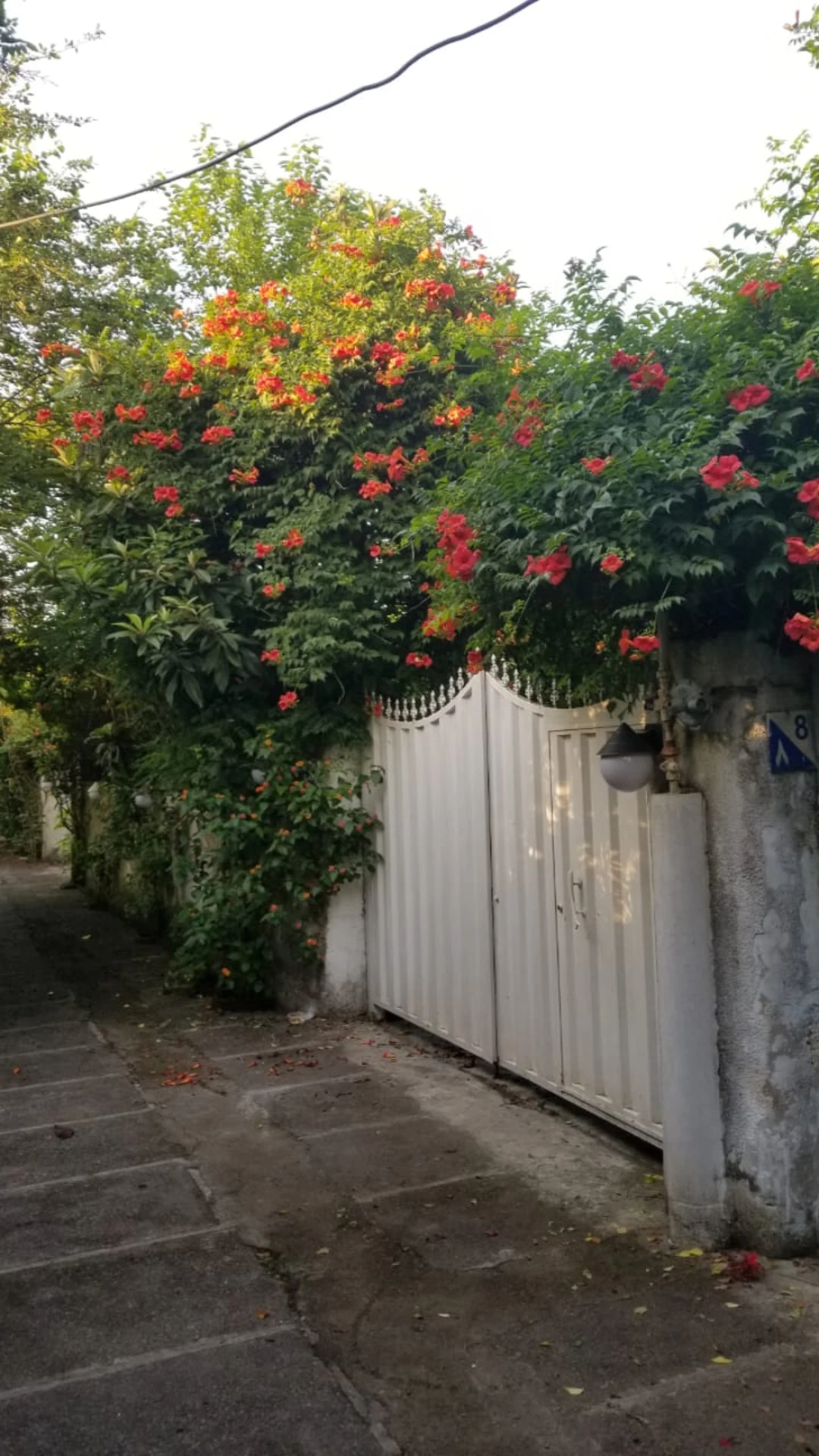 ویلای560 ساحلی شهرکی خوش قیمت منطقه چلندر