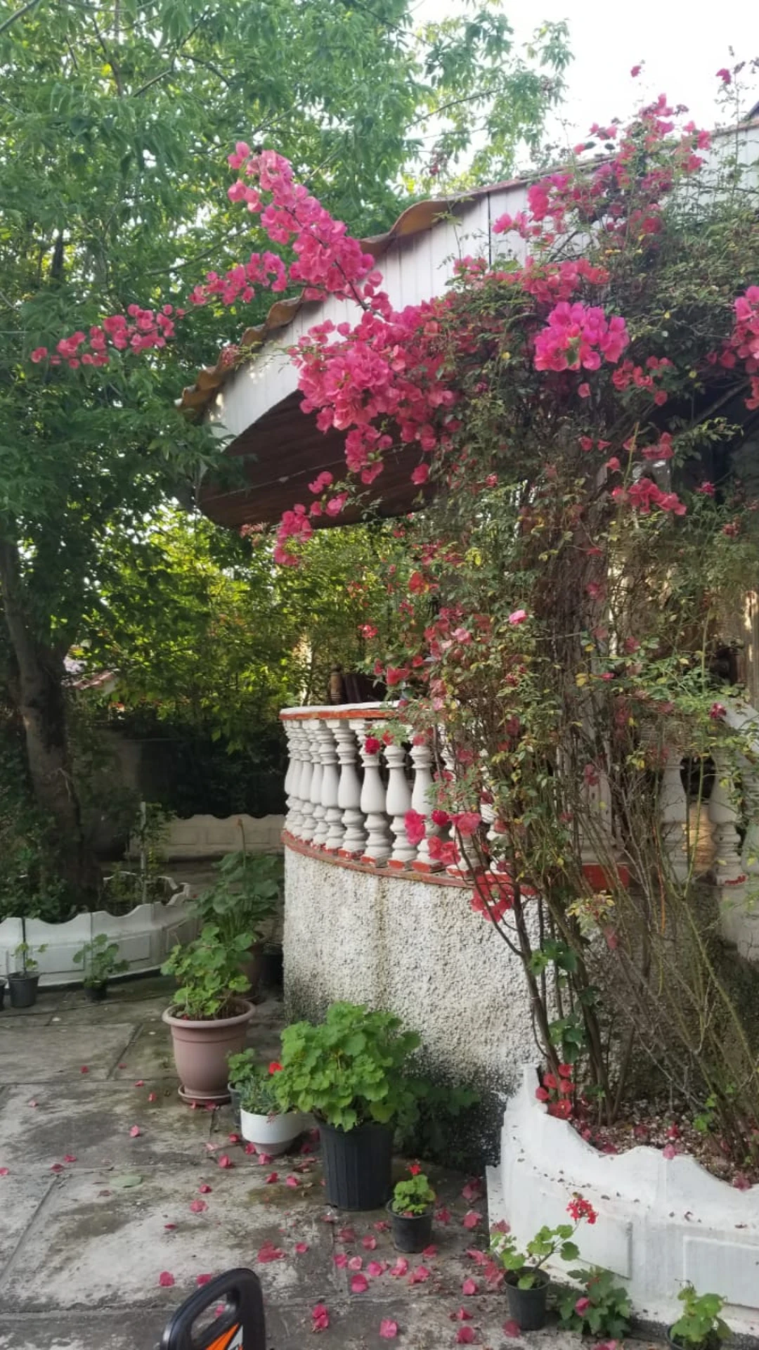 ویلای560 ساحلی شهرکی خوش قیمت منطقه چلندر