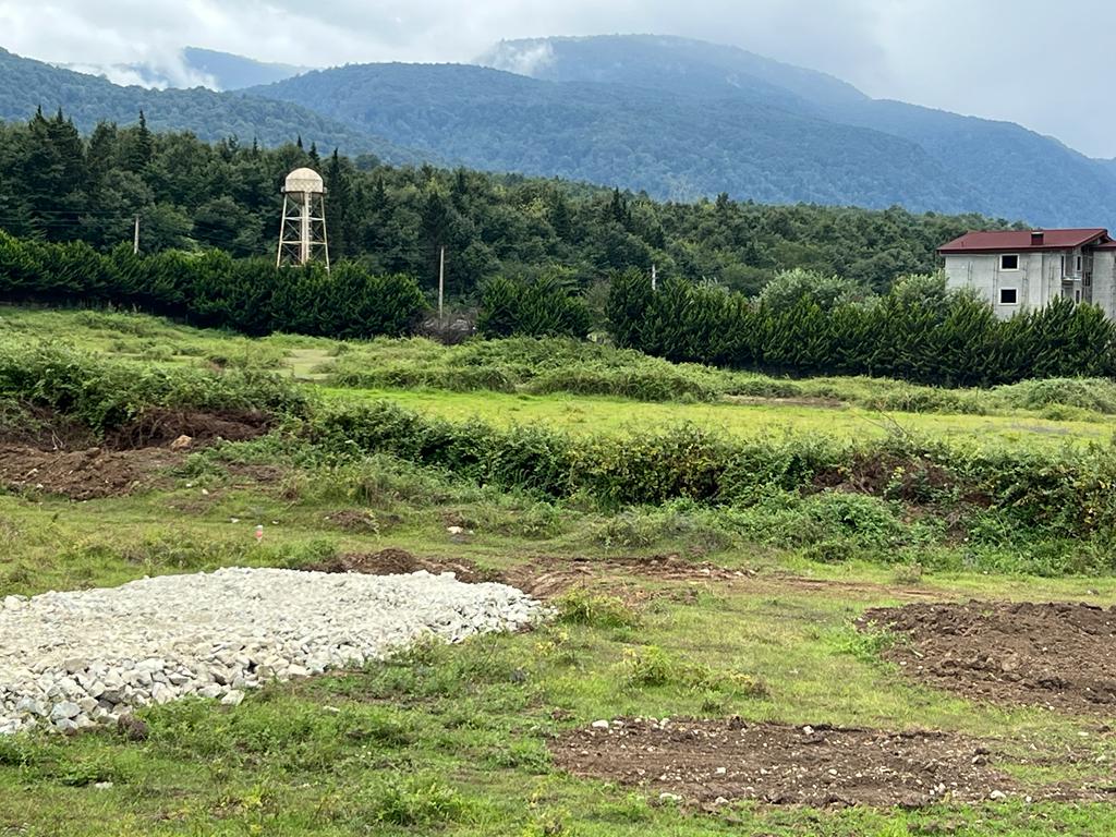 فروش زمین های شهرکی  نوشهردر خط اول جنگل 