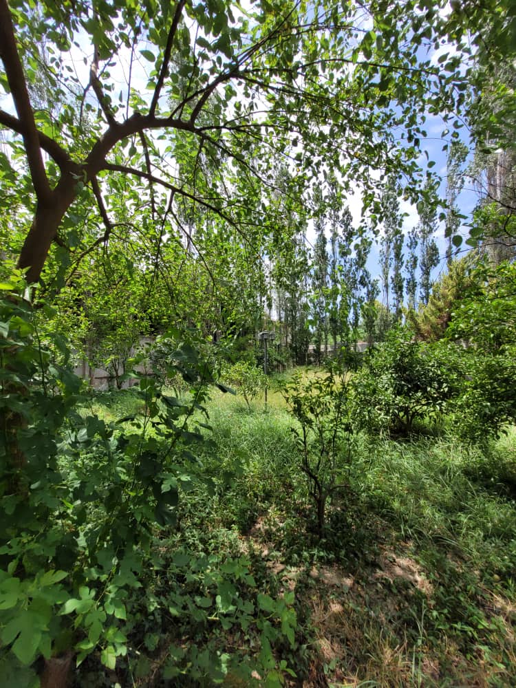 ویلای  950 متری لوکیشن قوی آویدر سیسنگان