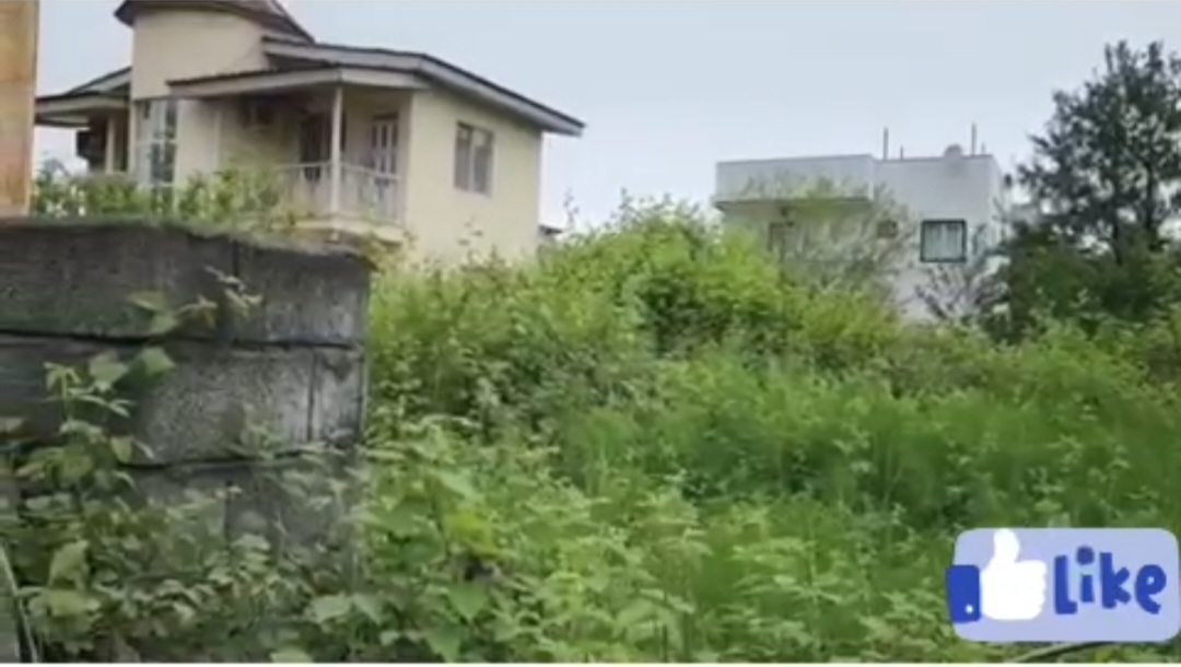 زمین 704 متری در انارور نوشهر