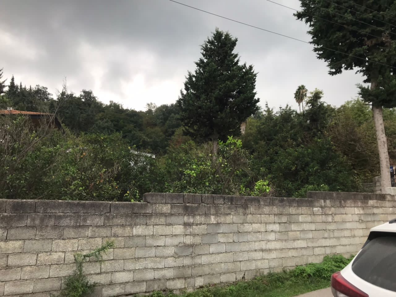 زمین با قطعات 200  متری ویو عالی