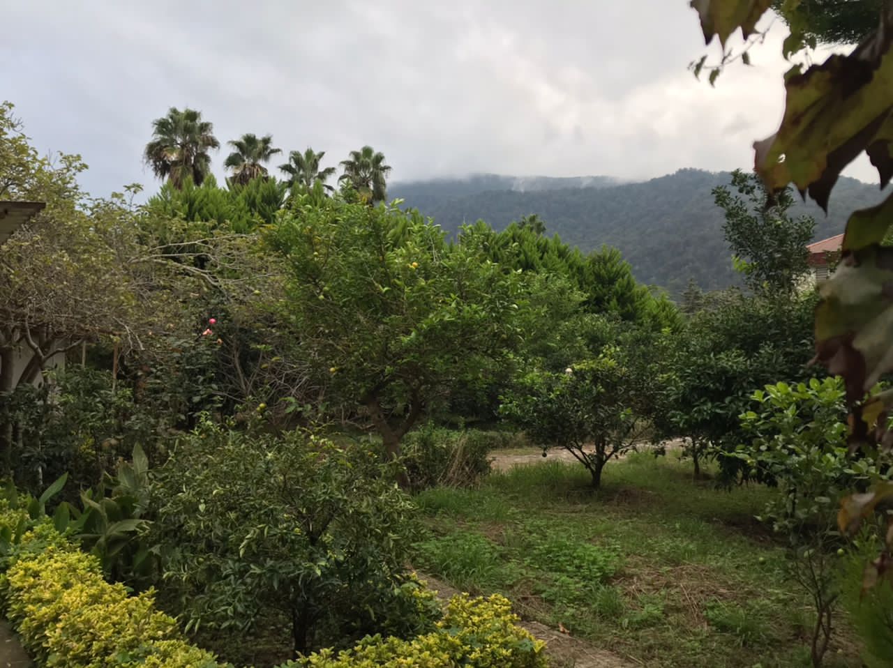 ویلای 1200 متری با لوکیشن برند