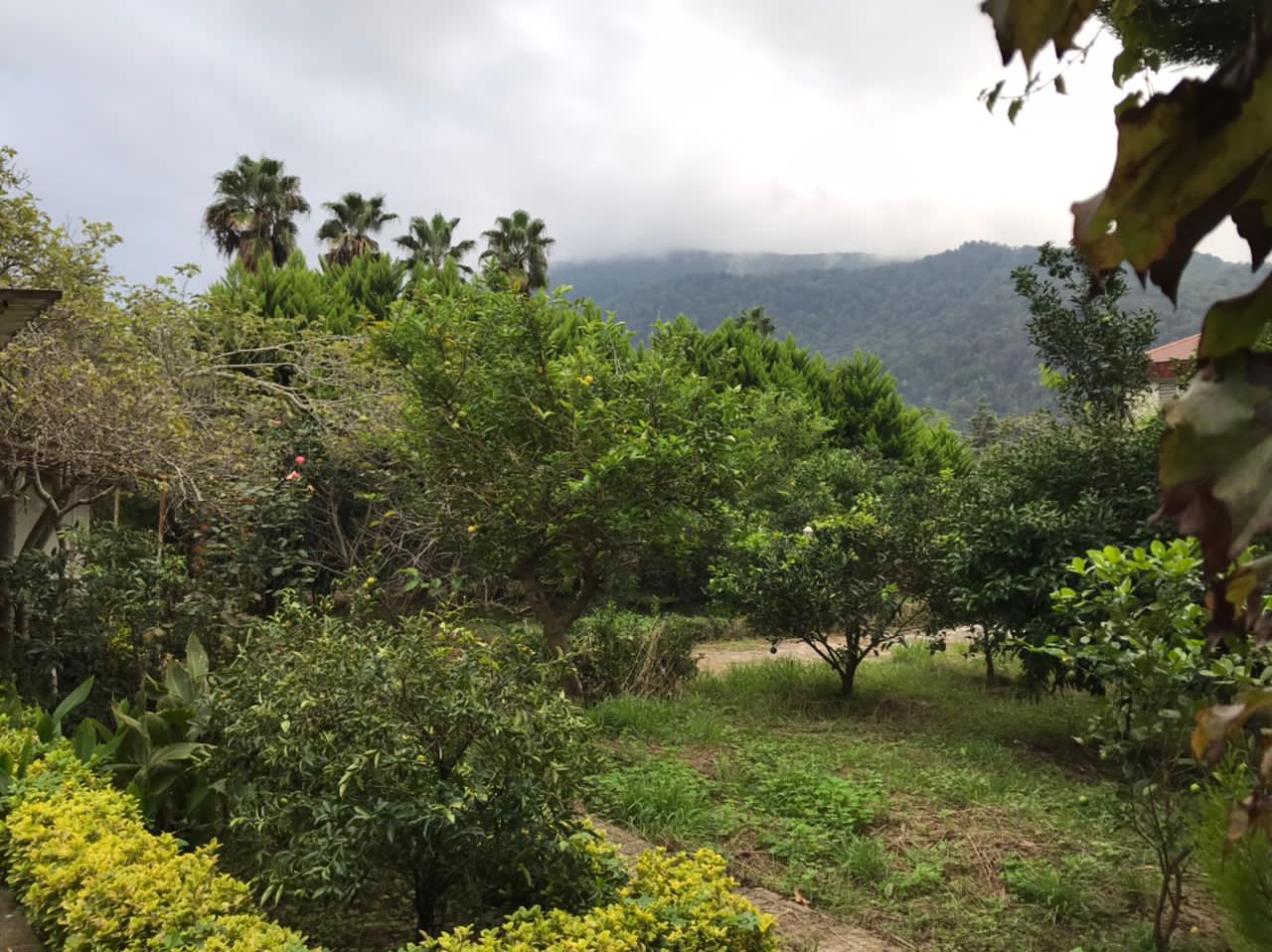 ویلای 1200 متری با لوکیشن برند