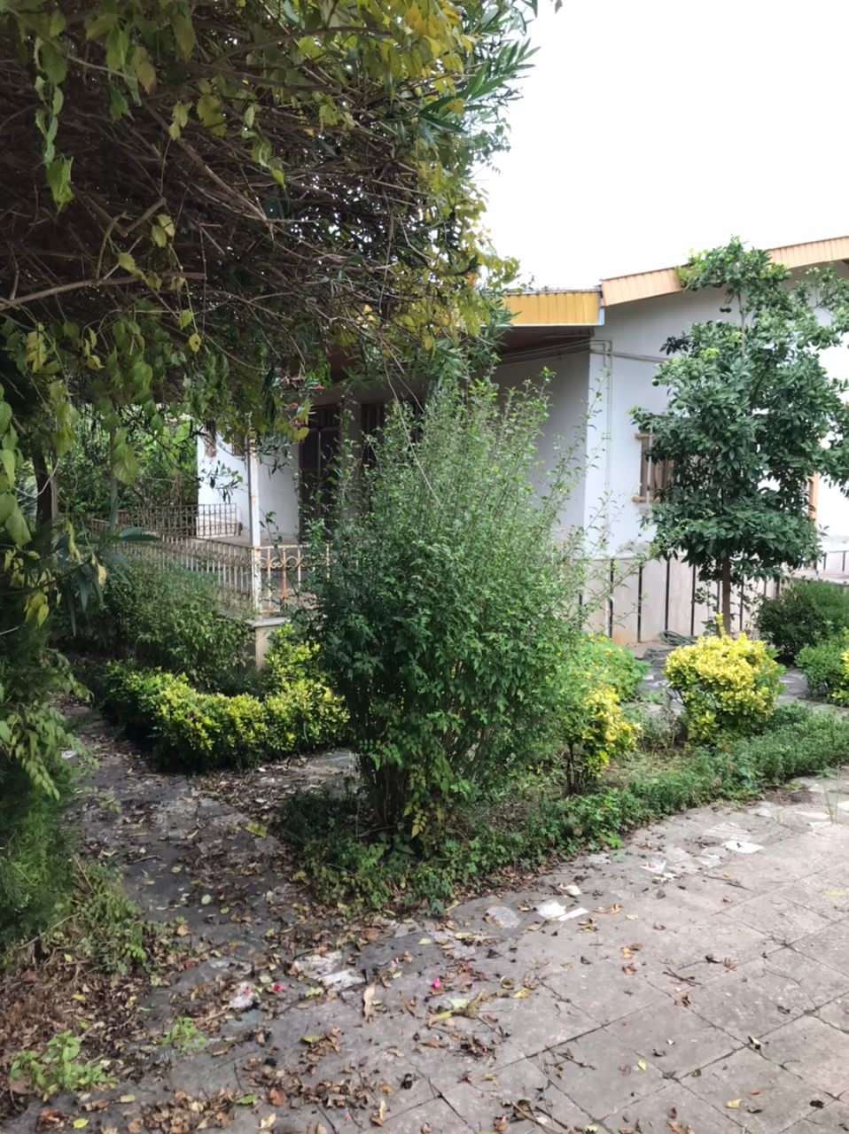 ویلای 1200 متری با لوکیشن برند