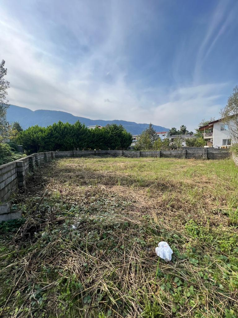 360 متر زمین جنگلی ملکار