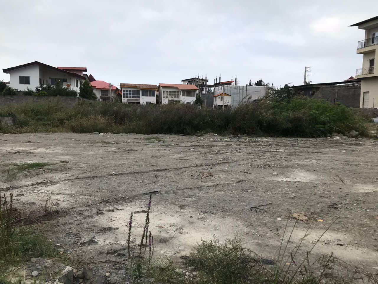 ۴۴۰ متر زمین جنگلی با لوکیشن عالی