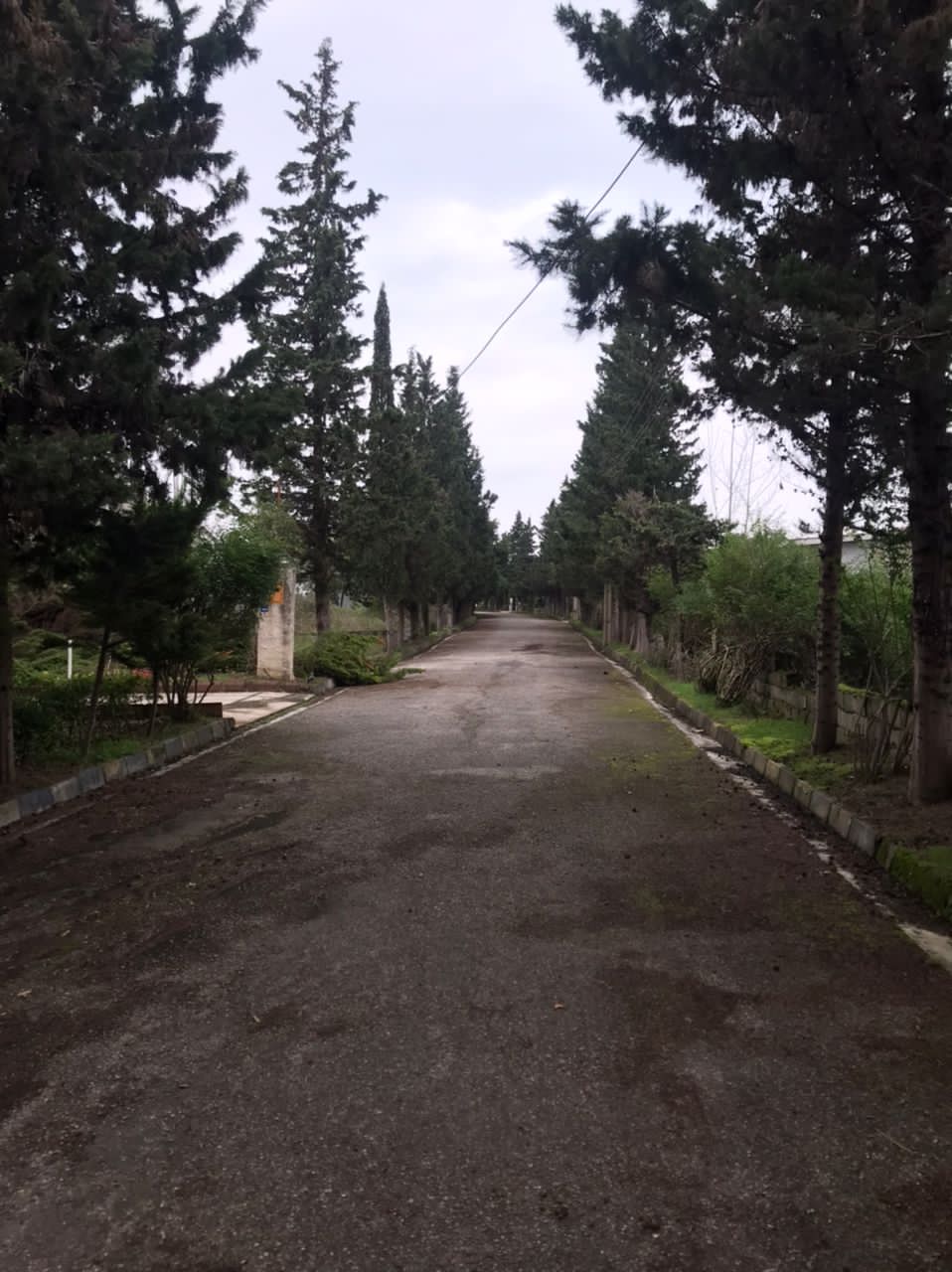 فروش فوری 440 متر زمین جنگلی شهرکی چلندر