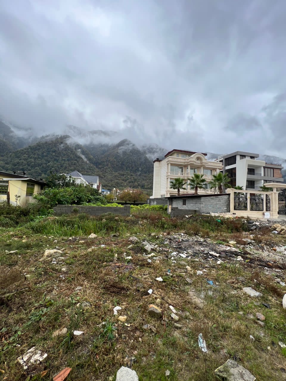 ۵۰۴ متر زمین جنگلی چلت