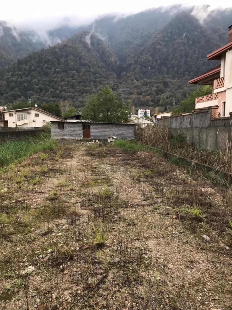  فروش فوری 500 متر زمین جنگلی چلک