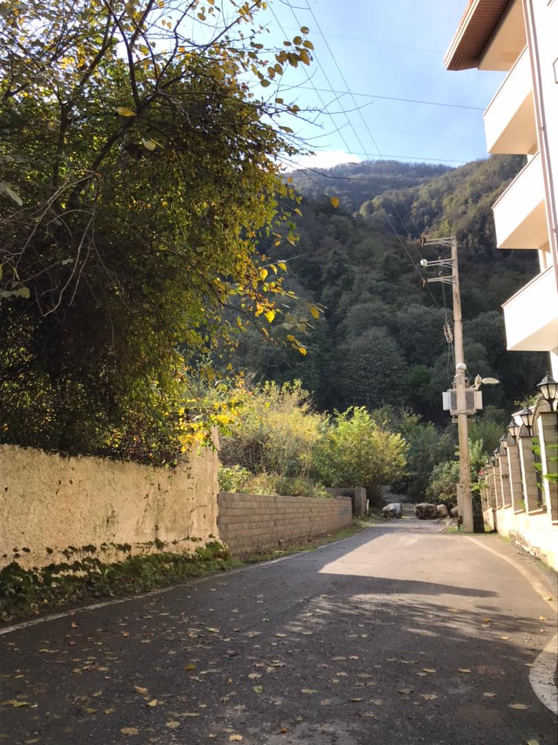 ۵۲۰ متر زمین جنگلی دوبر چلک