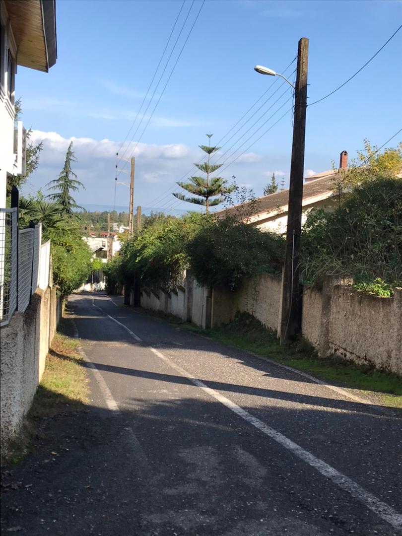 ۵۲۰ متر زمین جنگلی دوبر چلک