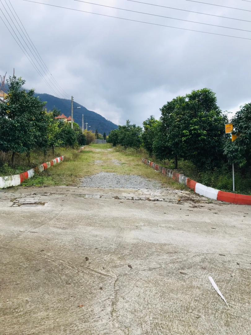   ۵۰۰  متر زمین جنگلی خوش قواره چلندر