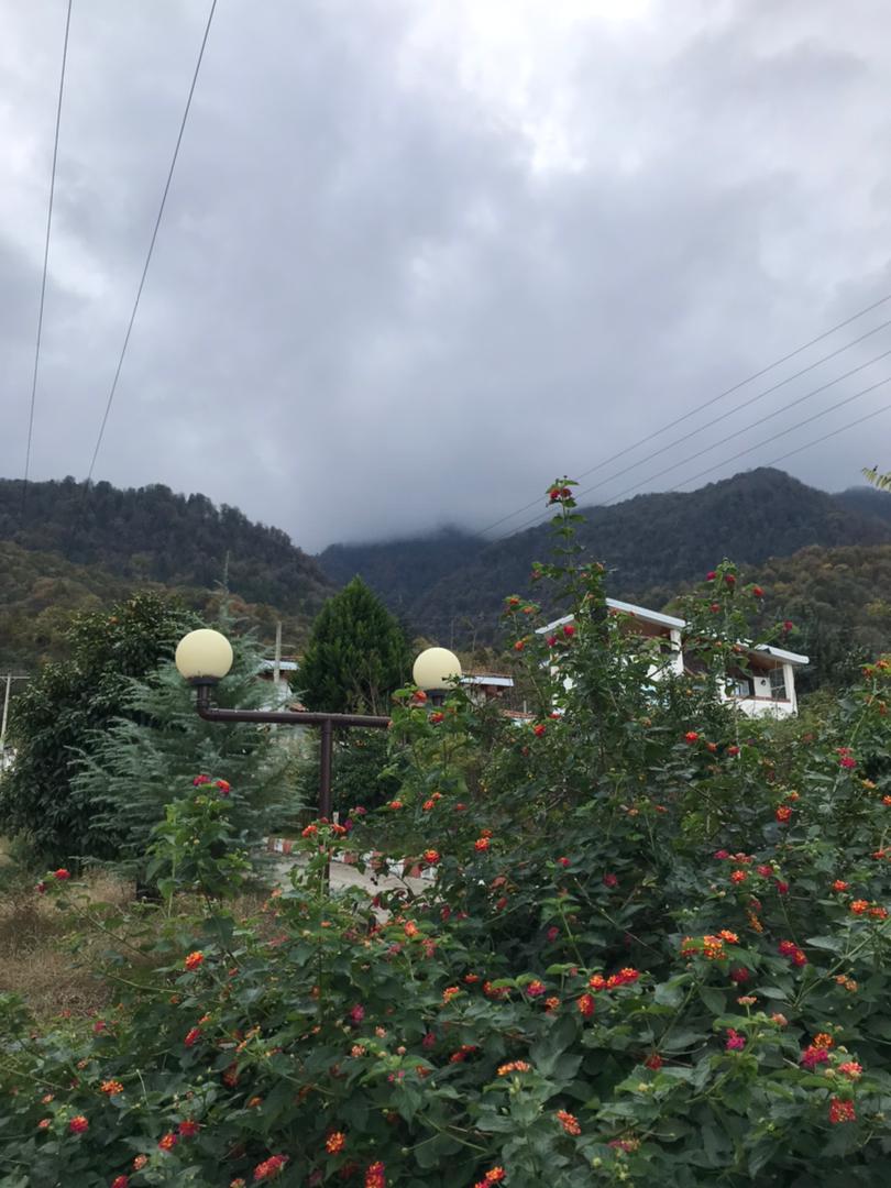   ۵۰۰  متر زمین جنگلی خوش قواره چلندر