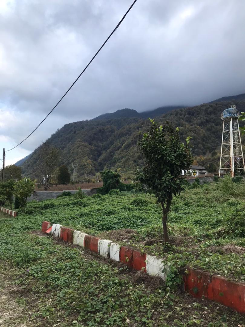   ۵۰۰  متر زمین جنگلی خوش قواره چلندر