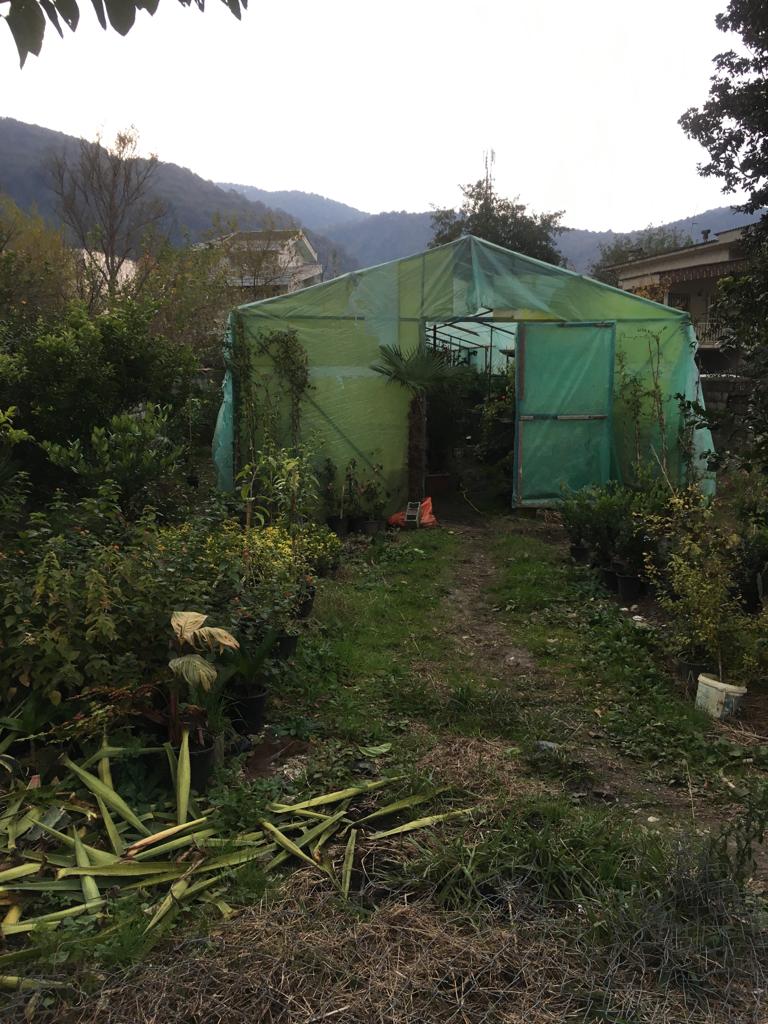  500 متر زمین جنگلی مسکونی