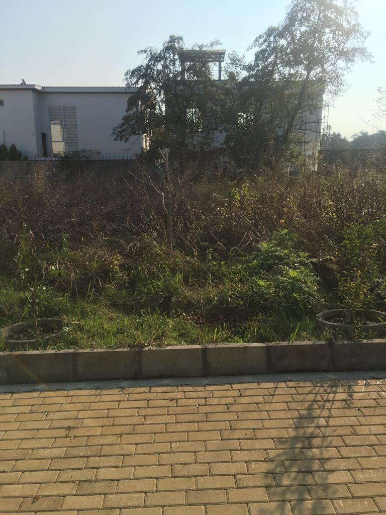  فروش زمین  ۶۷۵ متری جنگلی