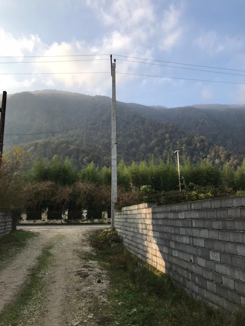 1200 متر زمین جنگلی چلک