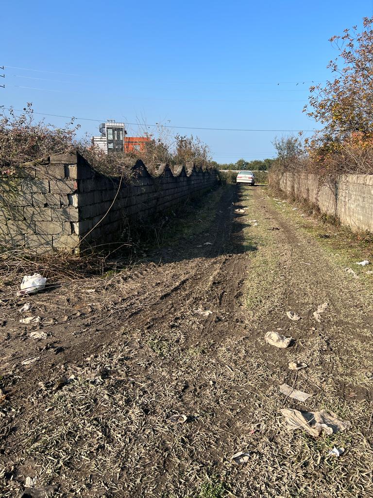 ۳۳۰ متر زمین جنگلی سیسنگان