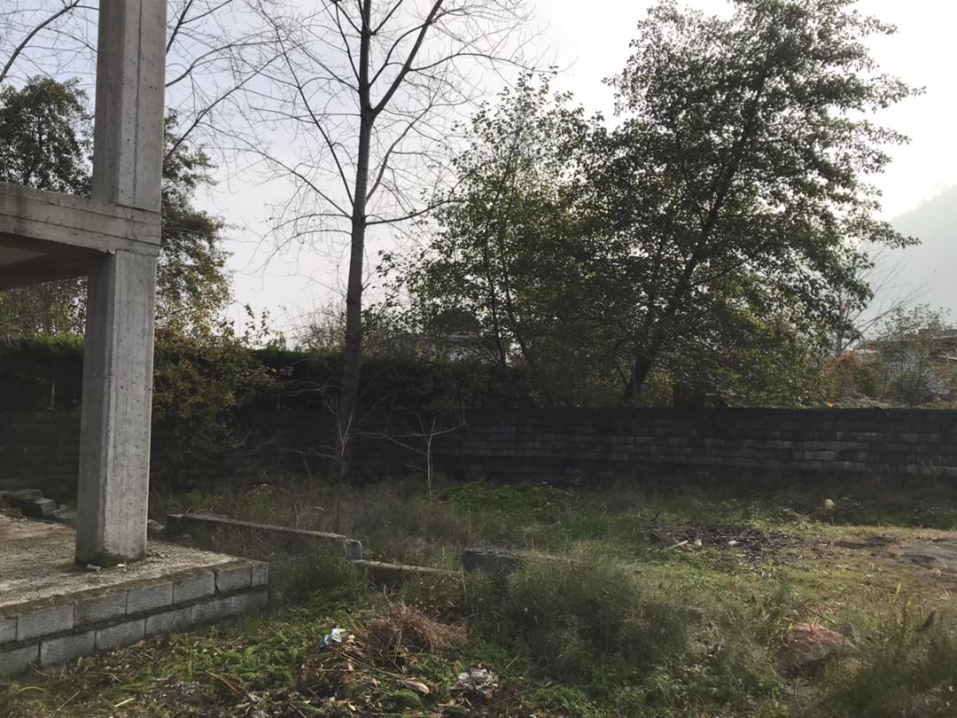  ۲۲۰ متر زمین جنگلی چلک