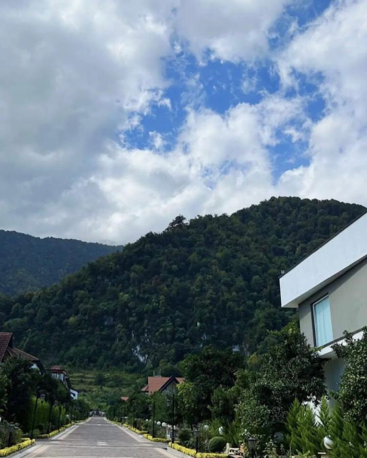  ۵۴۴ متر زمین جنگلی پلاک یک