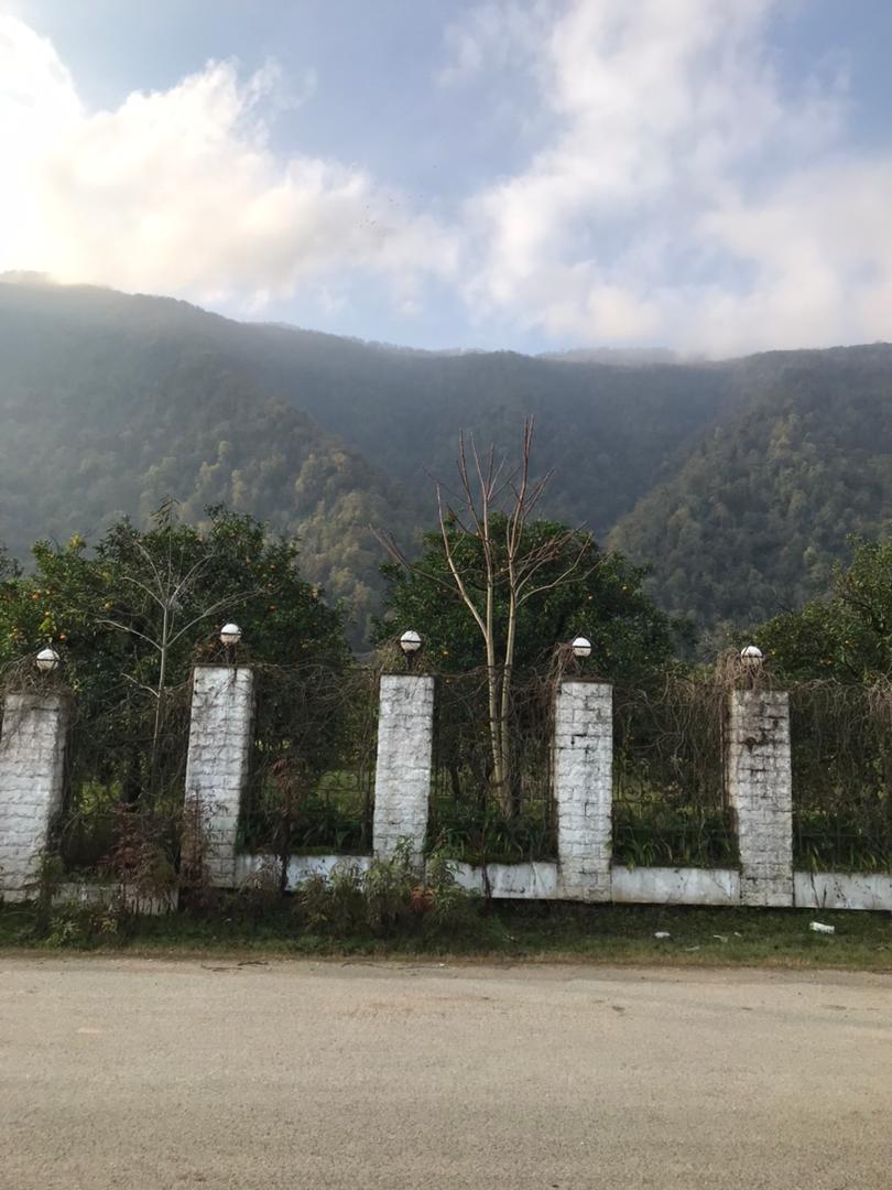  ۴۰۰۰ متر زمین جنگلی پلاک 2 چلک