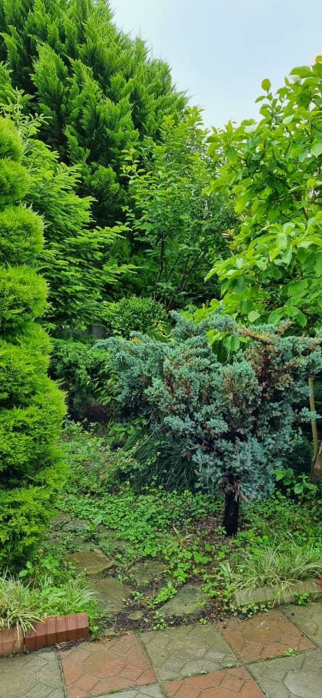 ویلا 301 متری شهرکی سیسنگان 