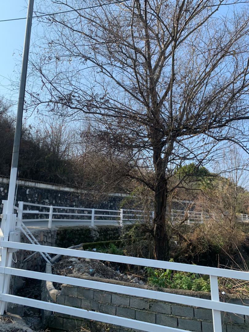 زمین 1918 متری اویدر