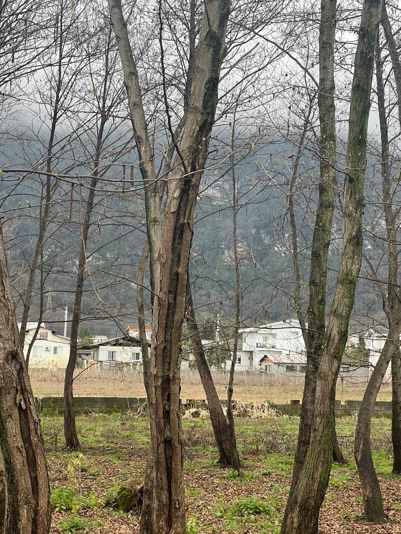 زمین 769 متری شمالی جنوبی کهنه سرا 