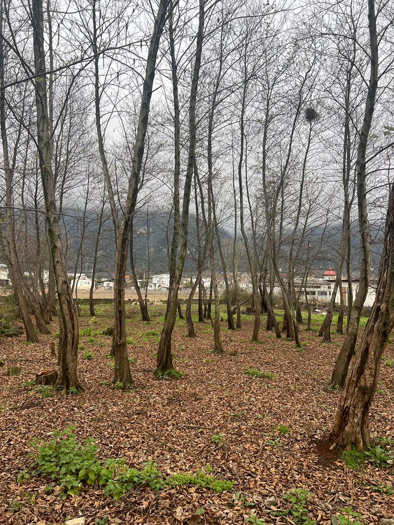 زمین 769 متری شمالی جنوبی کهنه سرا 