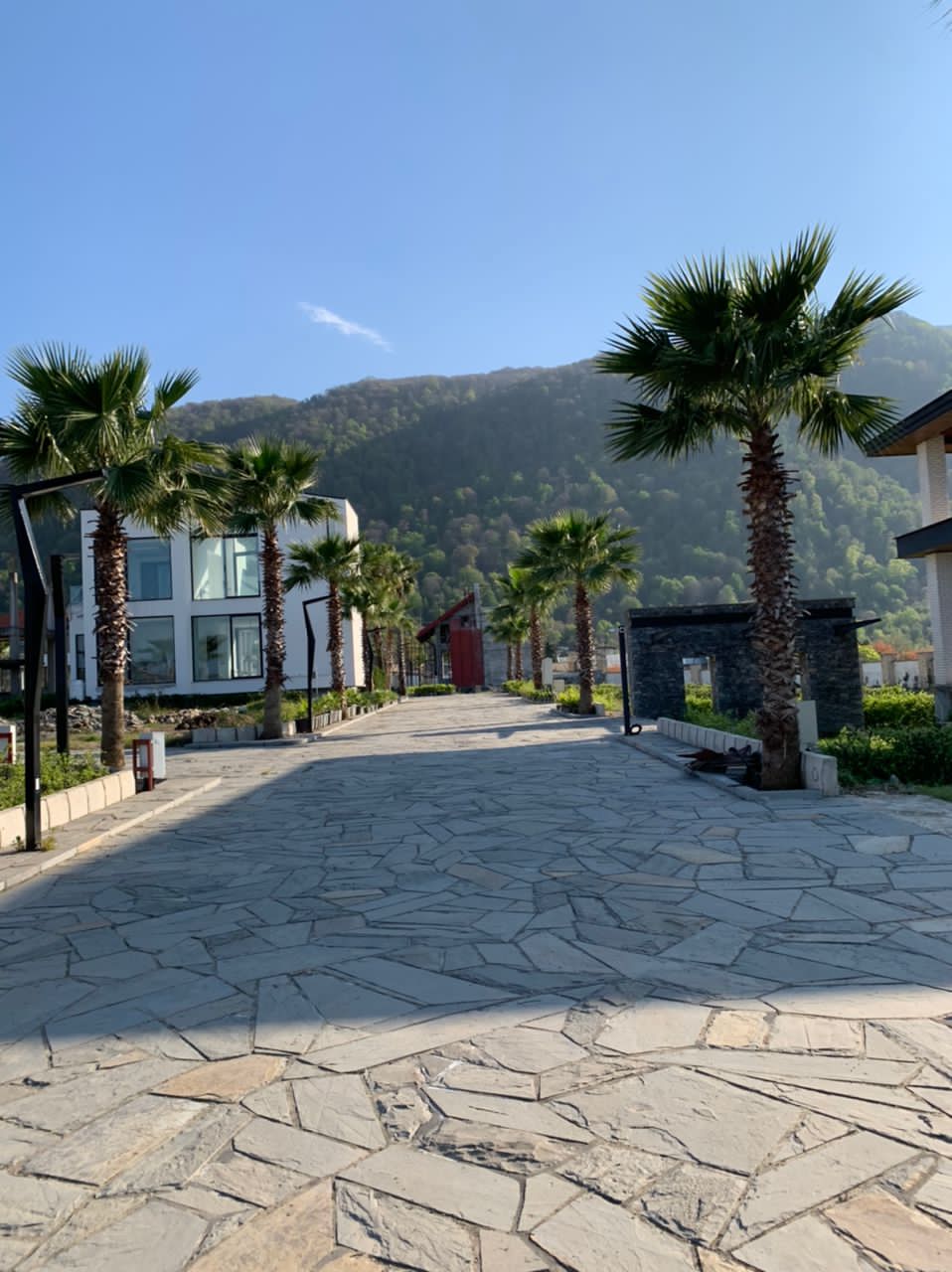 سه قطعه زمین ۳۵۰،۴۰۰و۵۰۰متری نخ شمال 