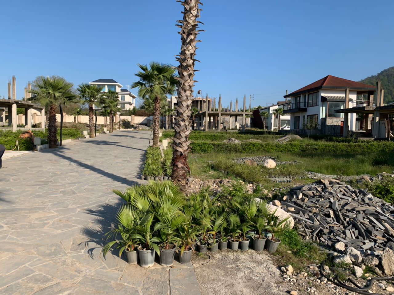 سه قطعه زمین ۳۵۰،۴۰۰و۵۰۰متری نخ شمال 