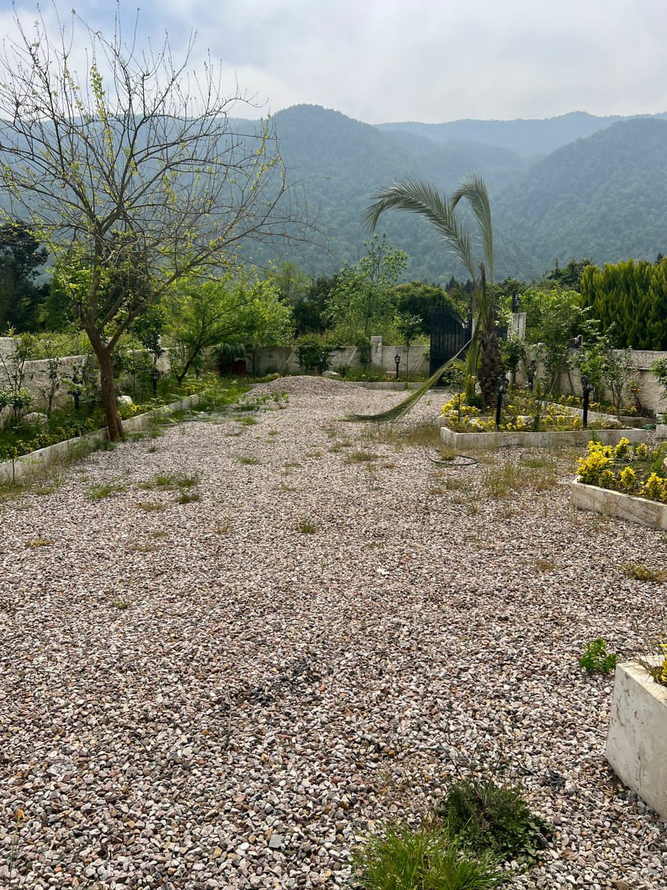 ویلا 450 متری پلاک1جنگل سیسنگان