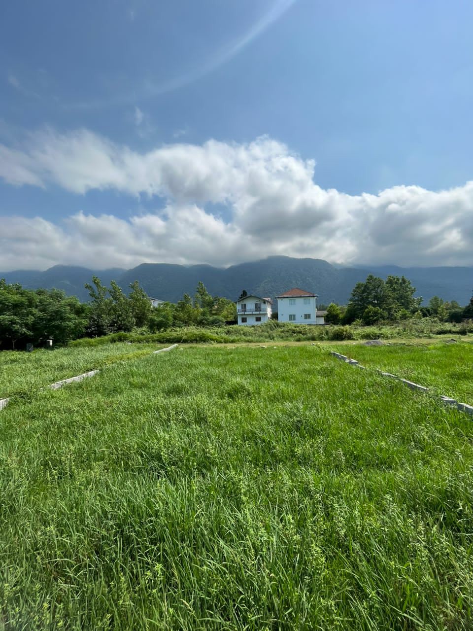 زمین 319 متری کاربری باغات انارور 