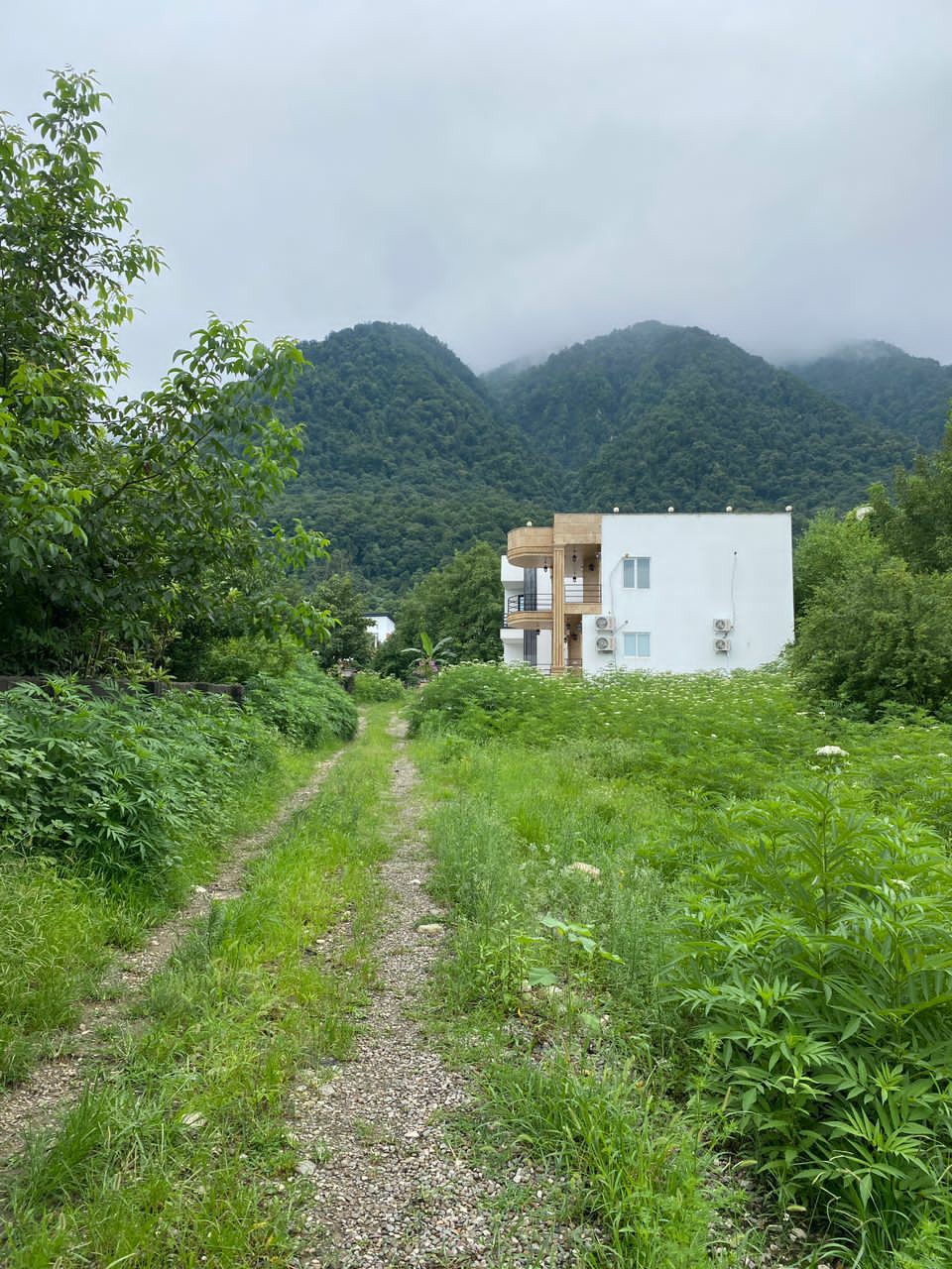 زمین 280 متری جنگلی چلندر 