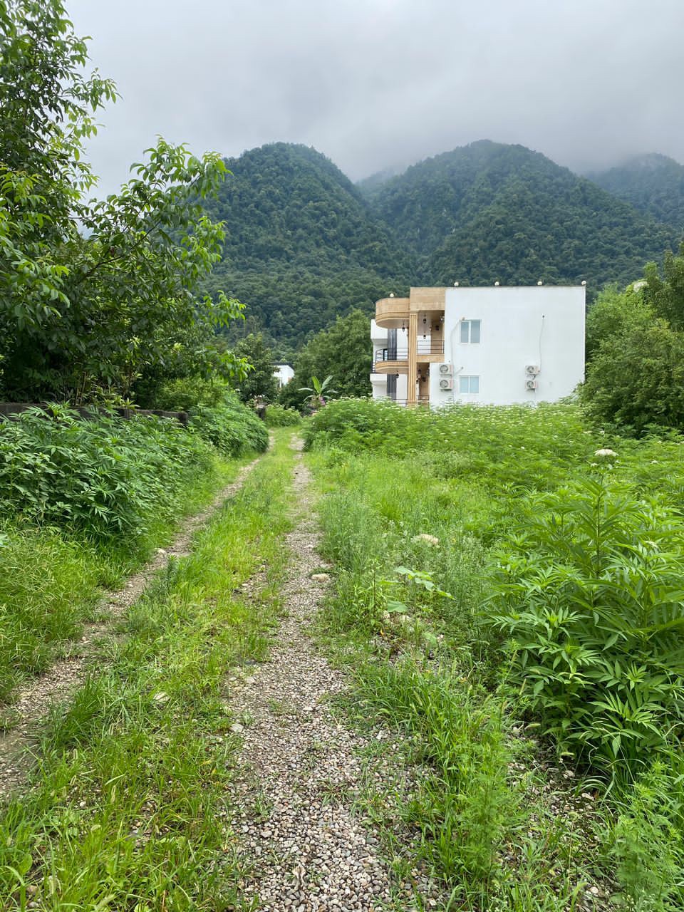 زمین 280 متری جنگلی چلندر 