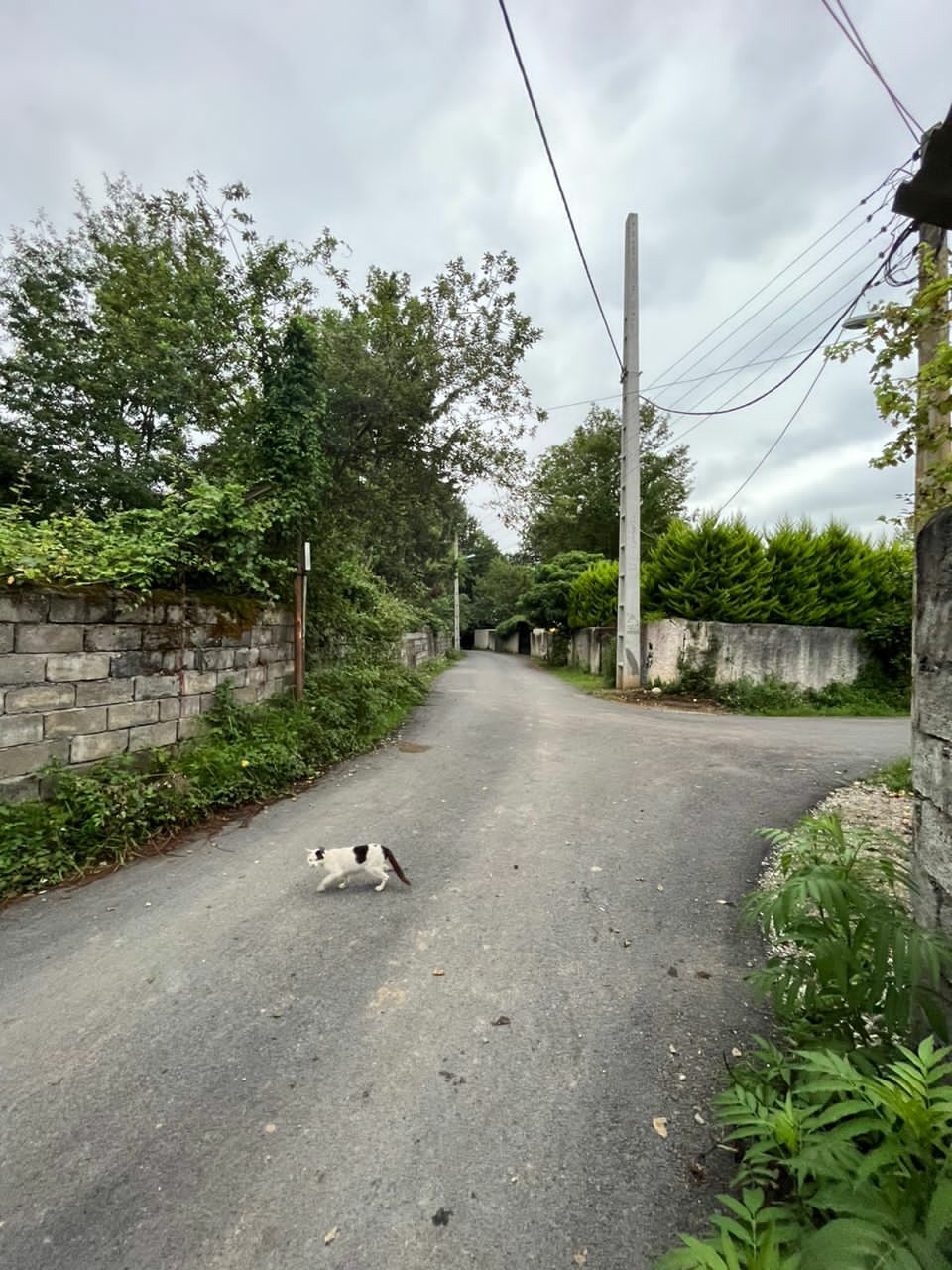 ویلا 200 متری نوساز مدرن شهرکی 