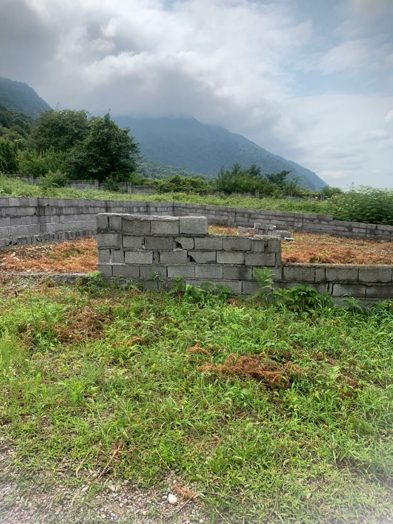 زمین 288 متری شهرکی پلاک 1 جنگل 