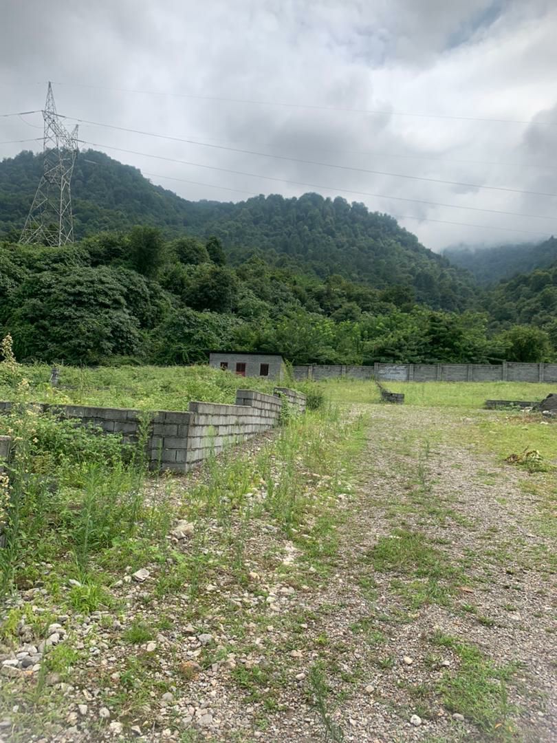 زمین 288 متری شهرکی پلاک 1 جنگل 