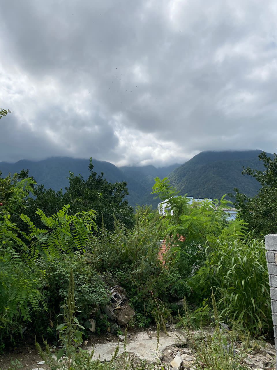 زمین 280 متری کاربری مسکونی چلندر 