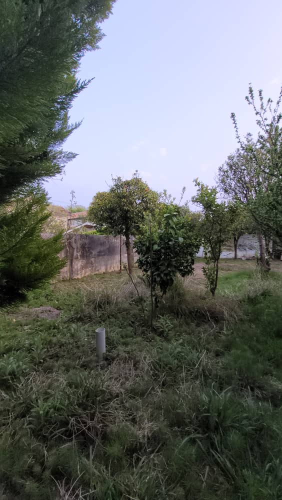 ویلا باغ 1200 متری شهرکی سیاهرود