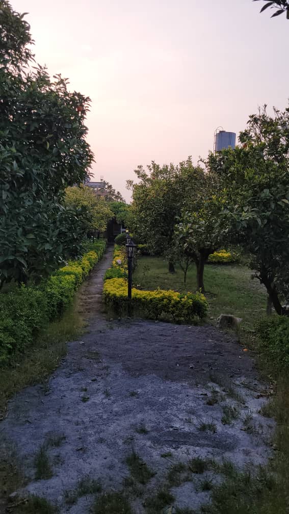 ویلا باغ 480 متری سیاهرود