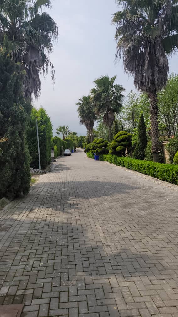 500 متر زمین خالص شهرکی داخل بافت سیسنگان