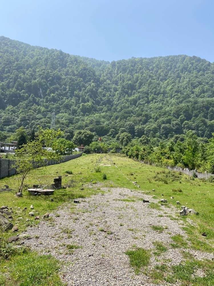 7000متر زمین جنگلی چلک